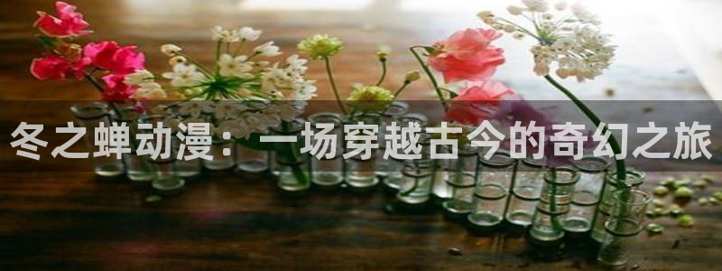 新蛙漫：冬之蝉动漫：一场穿越古今的奇幻之旅配图