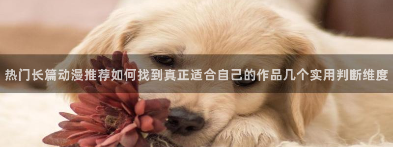 漫蛙鱼：热门长篇动漫推荐如何找到真正适合自己的作品几个实用判断维度配图