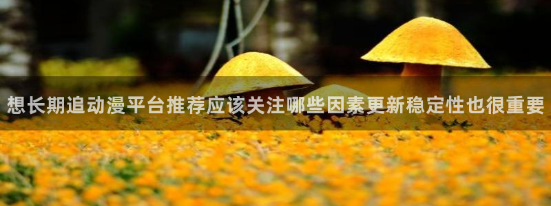 漫蛙香：想长期追动漫平台推荐应该关注哪些因素更新稳定性也很重要配图
