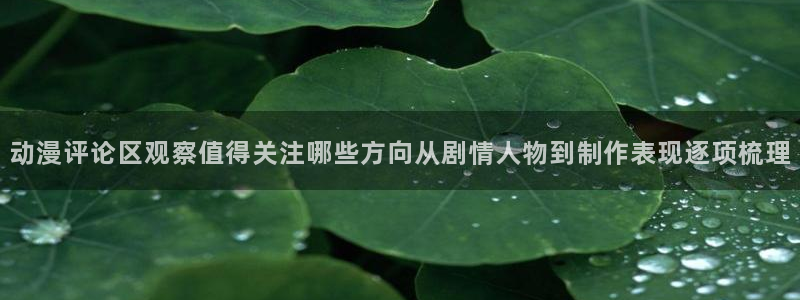 漫蛙传:动漫评论区观察值得关注哪些方向从剧情人物到制作表现逐项梳理配图