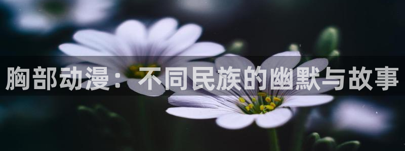 漫蛙I:胸部动漫:不同民族的幽默与故事配图