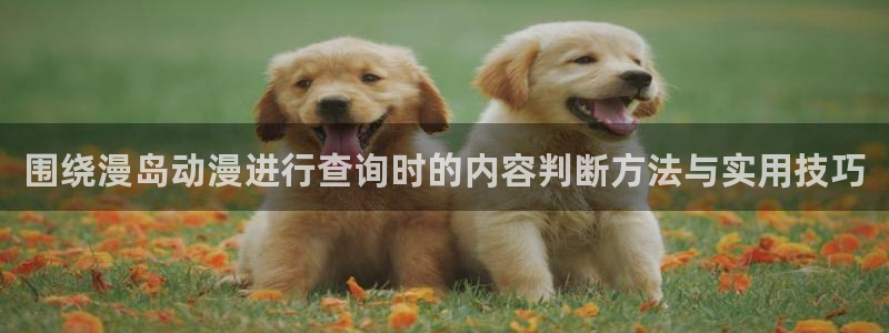 漫蛙源:围绕漫岛动漫进行查询时的内容判断方法与实用技巧配图