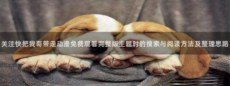 多漫蛙：关注快把我哥带走动漫免费观看完整版主题时的搜索与阅读方法及整理思路配图