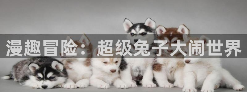 韩漫蛙:漫趣冒险:超级兔子大闹世界配图